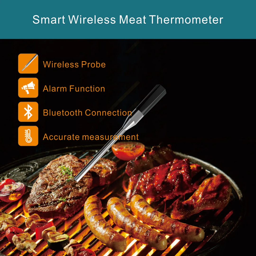 WIRELESS SMART PEN THERMOMETER