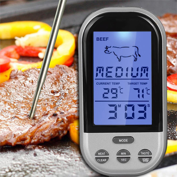 WIRELESS THERMOMETER SILVER